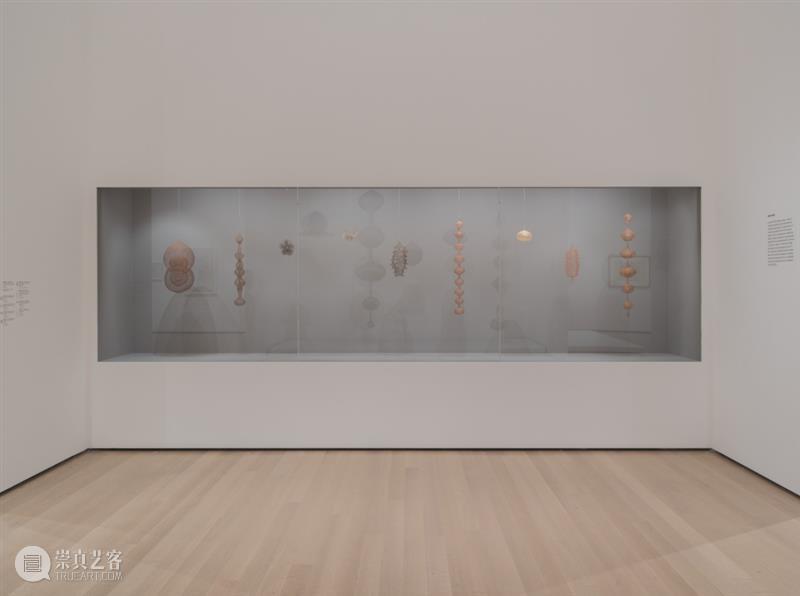 鲁斯·阿萨瓦_万物相连 生生不息｜国家美术·关注 视频资讯 丨 崇真艺客