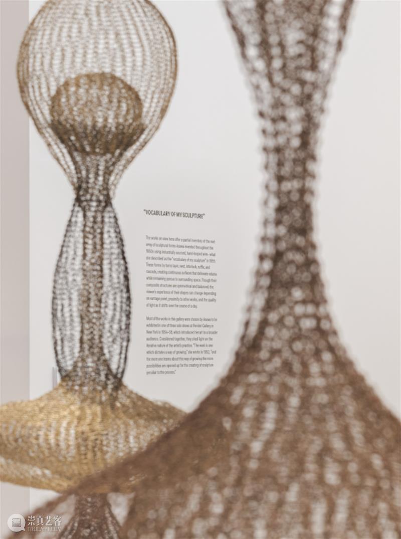 鲁斯·阿萨瓦_万物相连 生生不息｜国家美术·关注 视频资讯 丨 崇真艺客