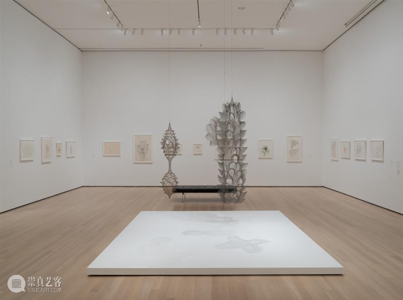 鲁斯·阿萨瓦_万物相连 生生不息｜国家美术·关注 视频资讯 丨 崇真艺客