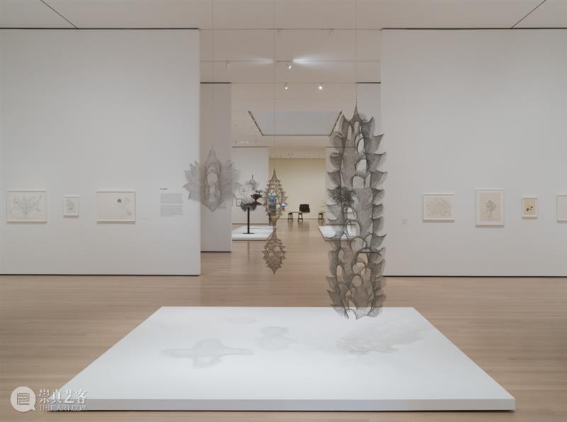 鲁斯·阿萨瓦_万物相连 生生不息｜国家美术·关注 视频资讯 丨 崇真艺客