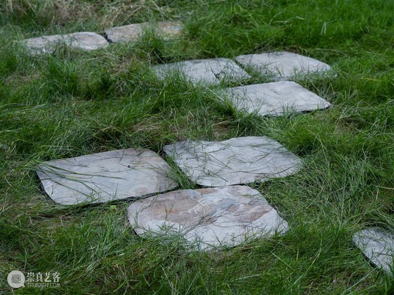 上双城市项目活动｜自然的“误读”练习 12/27（周六） 崇真艺客