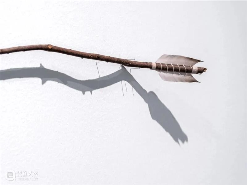 上双城市项目活动｜自然的“误读”练习 12/27（周六） 崇真艺客