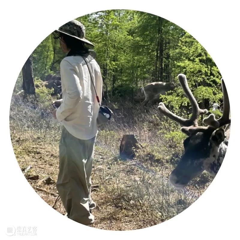 上双城市项目活动｜自然的“误读”练习 12/27（周六） 崇真艺客