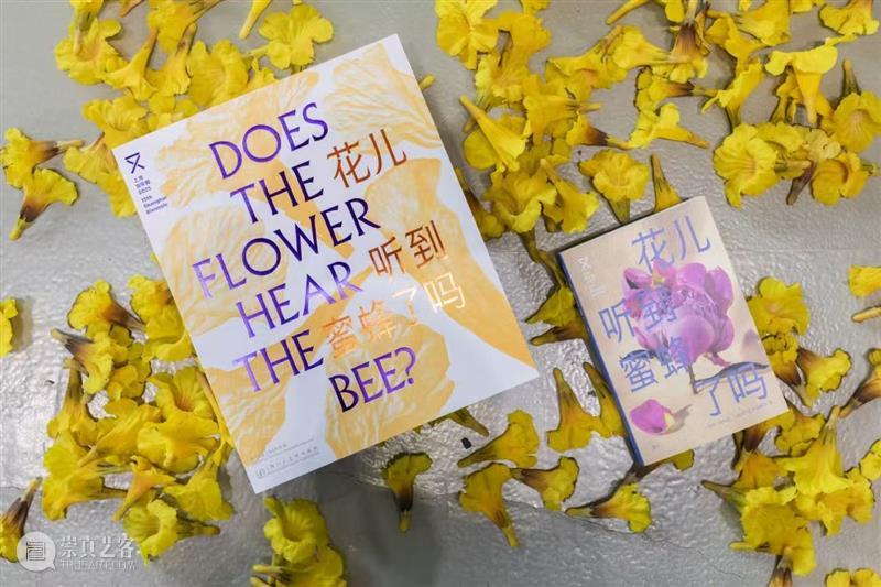 上双城市项目活动｜自然的“误读”练习 12/27（周六） 崇真艺客