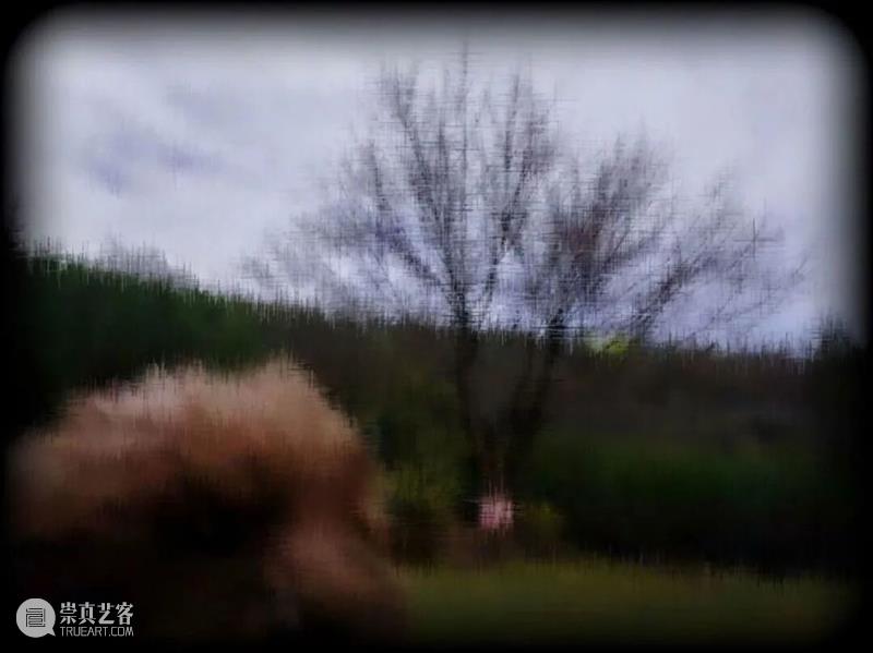 PF推荐|年末影像盛宴：全球50场展览指南 崇真艺客