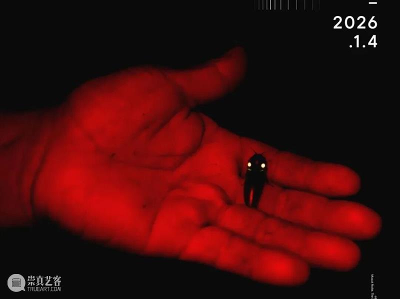 PF推荐|年末影像盛宴：全球50场展览指南 崇真艺客