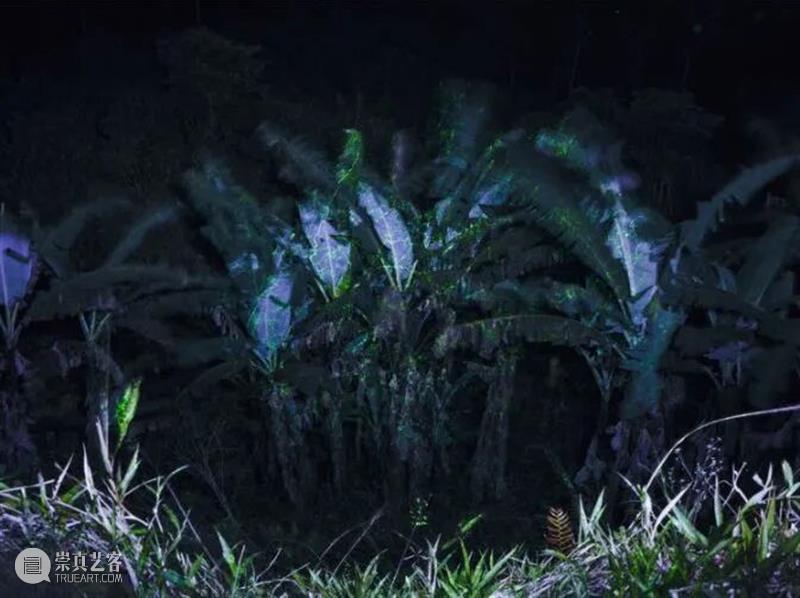 PF推荐|年末影像盛宴：全球50场展览指南 崇真艺客