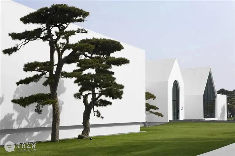 「松」活动｜2026能量焕新占星沙龙 崇真艺客