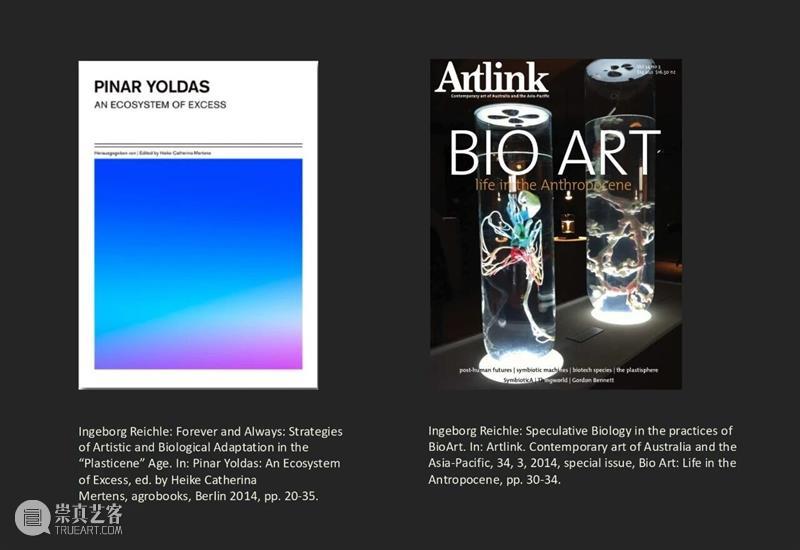 共生生成、文化生物学与泛生物艺术 崇真艺客