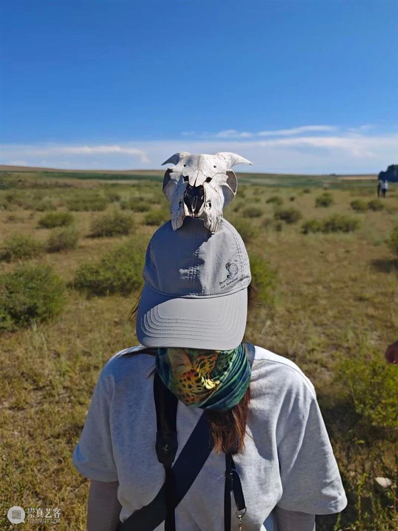 A2M 讲座 | 【博物自然】探索自然教育在校园中的更多“打开方式” 崇真艺客