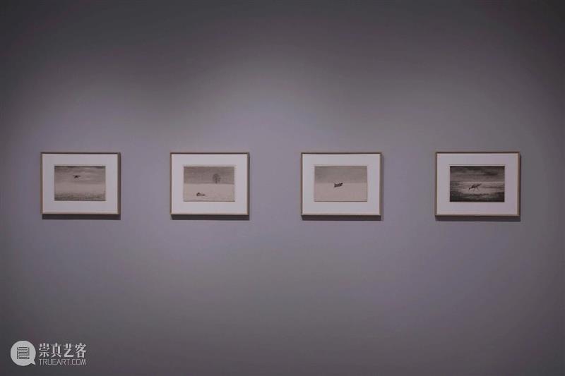 M艺术空间展览现场&访谈 | 56号展位 M003 何曦 BoothM56 HE Xi 崇真艺客