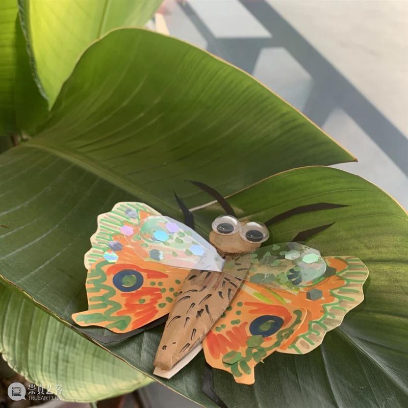 MAM公教 | 遇见自然之社会大美育回顾 崇真艺客