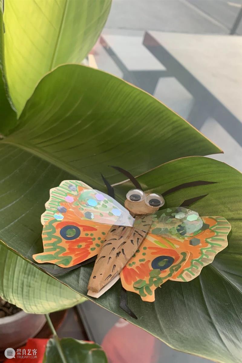 MAM公教 | 遇见自然之社会大美育回顾 崇真艺客