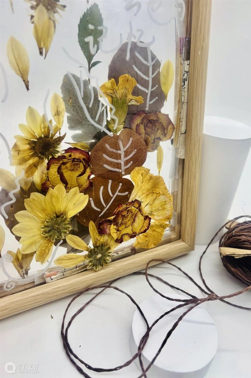 MAM公教 | 遇见自然之社会大美育回顾 崇真艺客