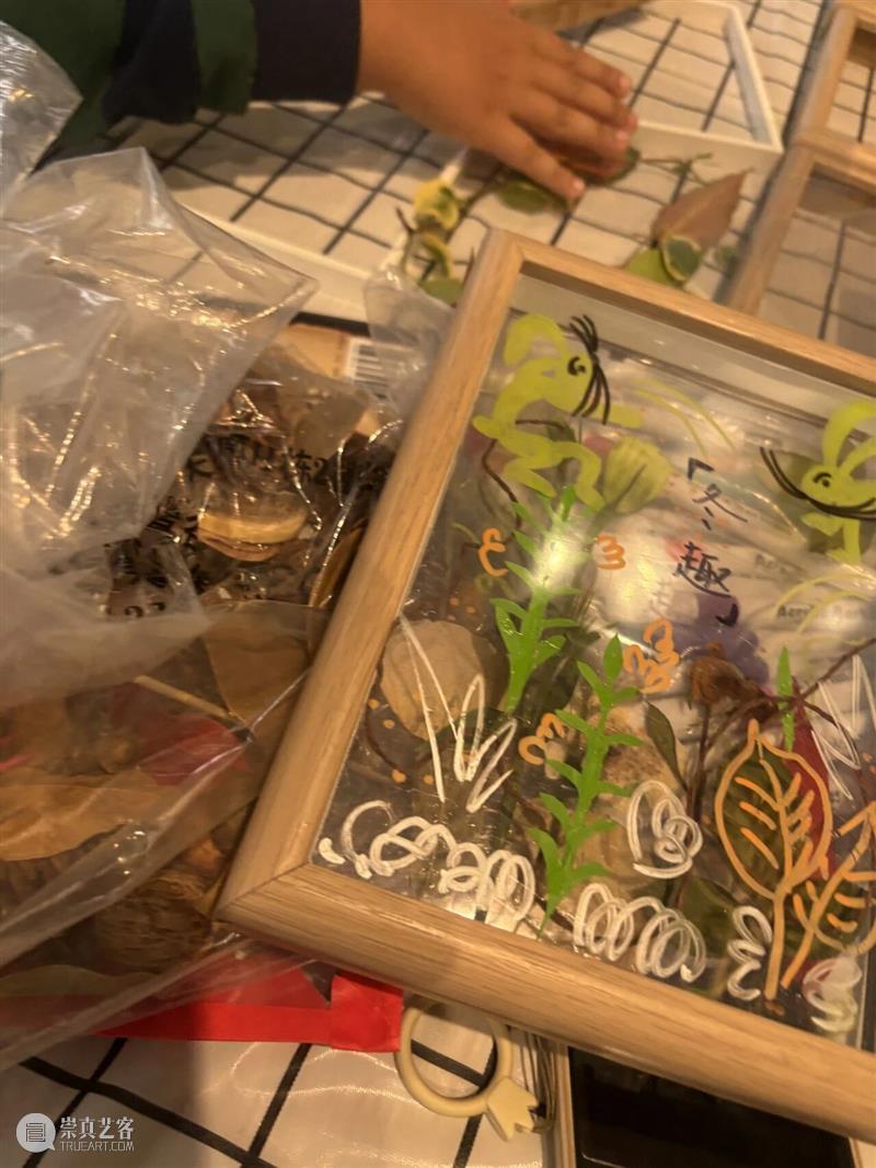 MAM公教 | 遇见自然之社会大美育回顾 崇真艺客