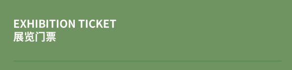 MAM公教 | 遇见自然之社会大美育回顾 崇真艺客