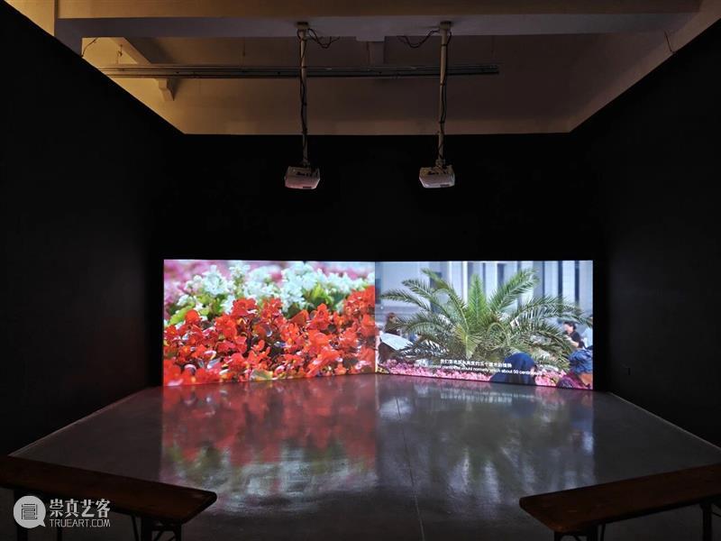 香格纳画廊祝大家圣诞&新年快乐！ 崇真艺客