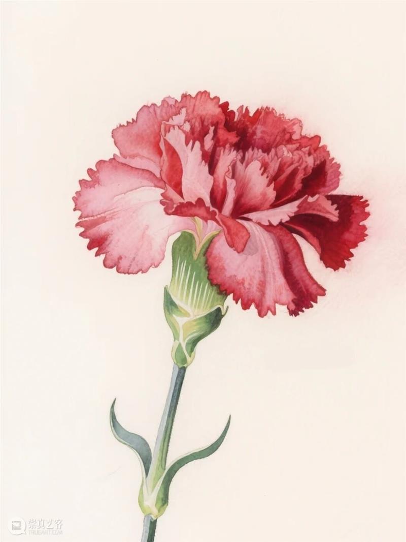 「松」活动｜“私钥·花语”元旦花艺工坊 崇真艺客