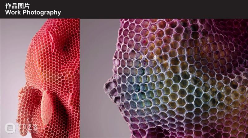 共生之道——从“索取者”向“共生者”的角色转换 崇真艺客