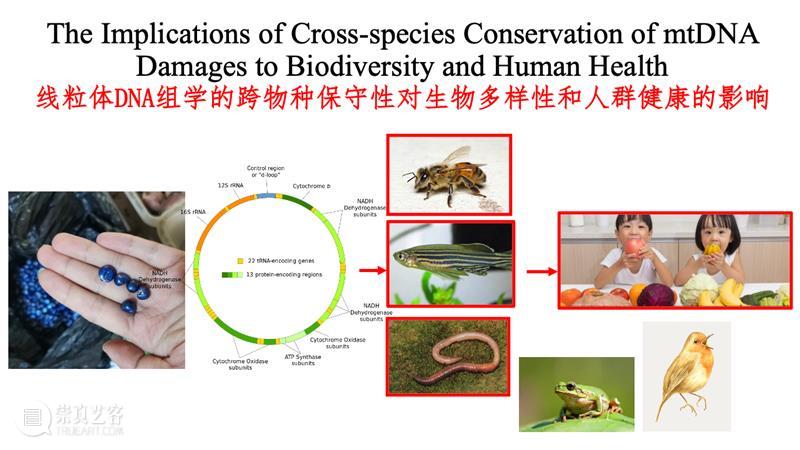 共生之道——从“索取者”向“共生者”的角色转换 崇真艺客
