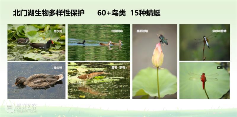 共生之道——从“索取者”向“共生者”的角色转换 崇真艺客