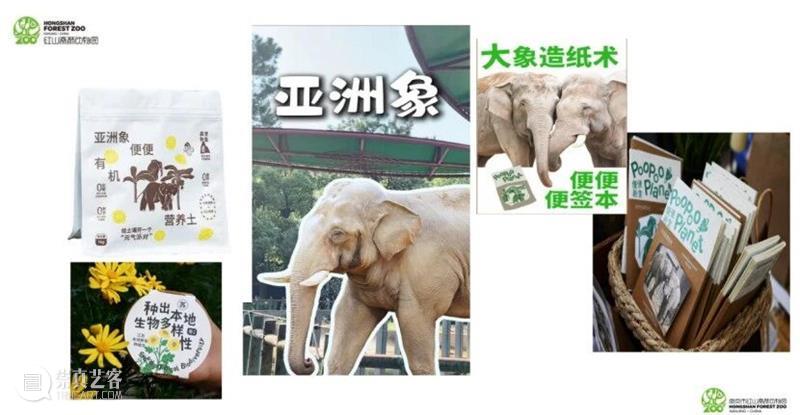 共生之道——从“索取者”向“共生者”的角色转换 崇真艺客