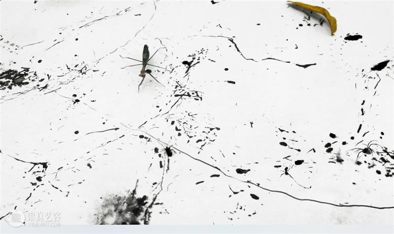 共生之道——从“索取者”向“共生者”的角色转换 崇真艺客