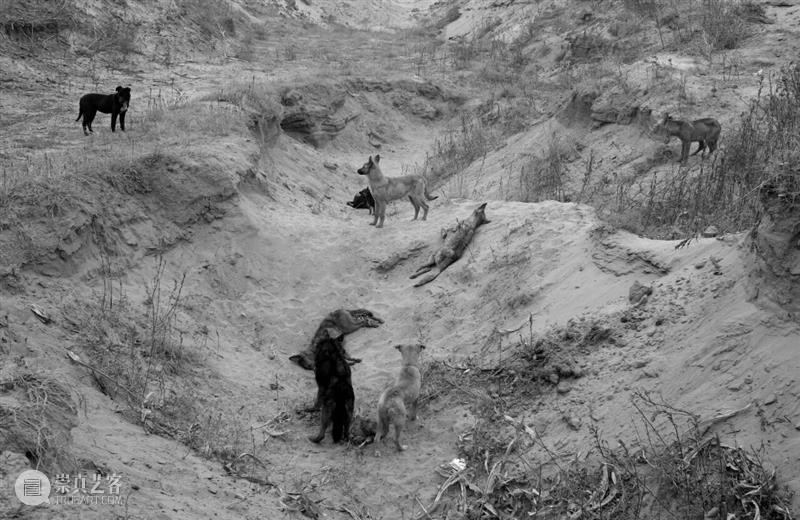 离去与归来丨杨福东的影像旅程 崇真艺客