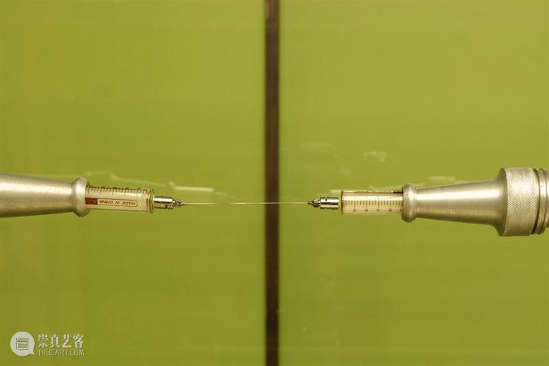 Longlati展览现场 | Gao Lei 高磊：旷野 6EQUJ5  Longlati 崇真艺客