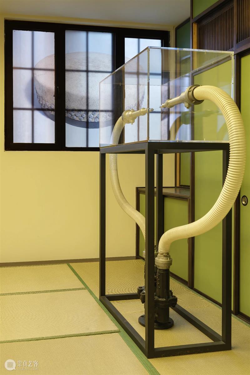 Longlati展览现场 | Gao Lei 高磊：旷野 6EQUJ5  Longlati 崇真艺客