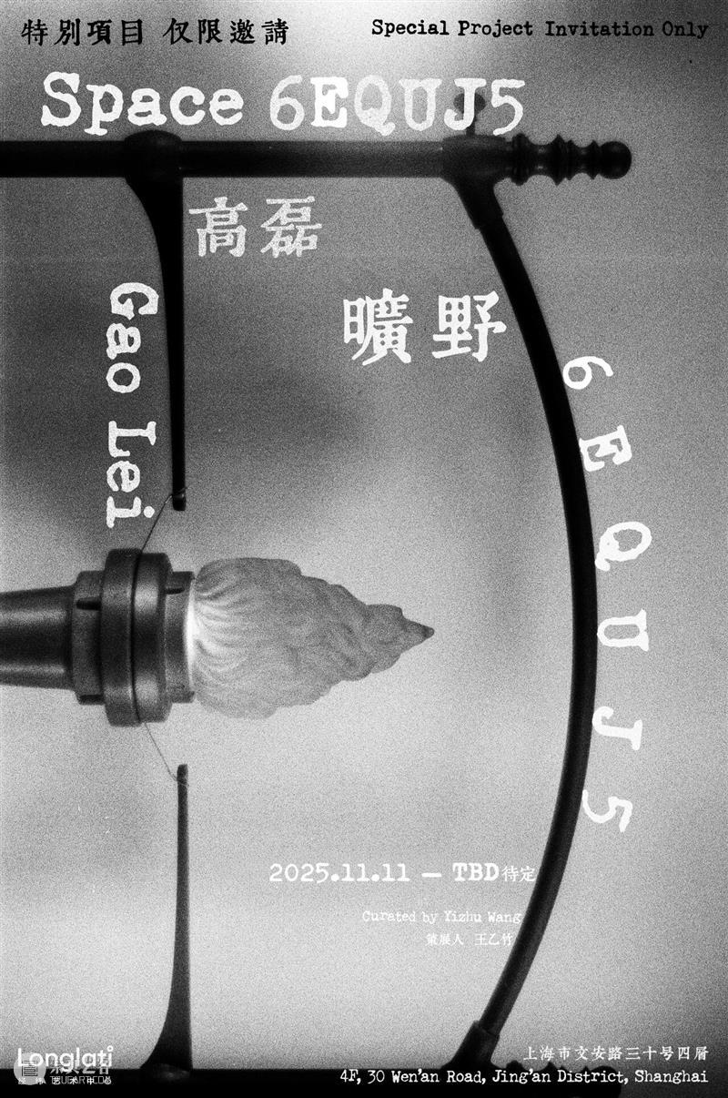 Longlati展览现场 | Gao Lei 高磊：旷野 6EQUJ5  Longlati 崇真艺客