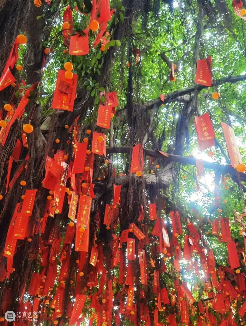 赴一场艺术之约，开启元气满满的新年！ 崇真艺客