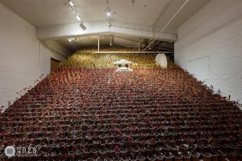 对话｜图像、记忆与缝隙：马秋莎创作三人谈｜TCC 崇真艺客