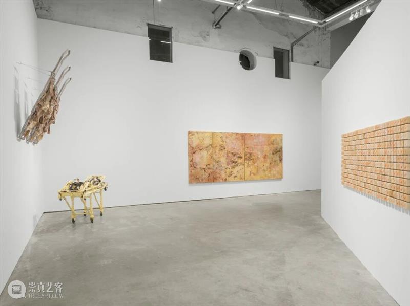 香格纳画廊 | 2025年度展览回顾（上） 崇真艺客