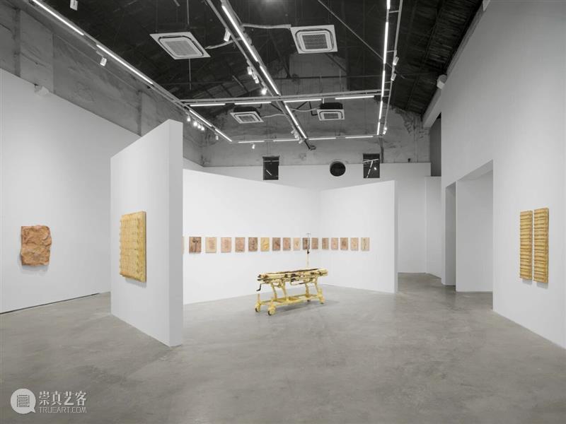 香格纳画廊 | 2025年度展览回顾（上） 崇真艺客