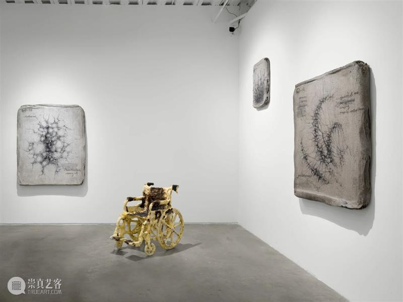 香格纳画廊 | 2025年度展览回顾（上） 崇真艺客