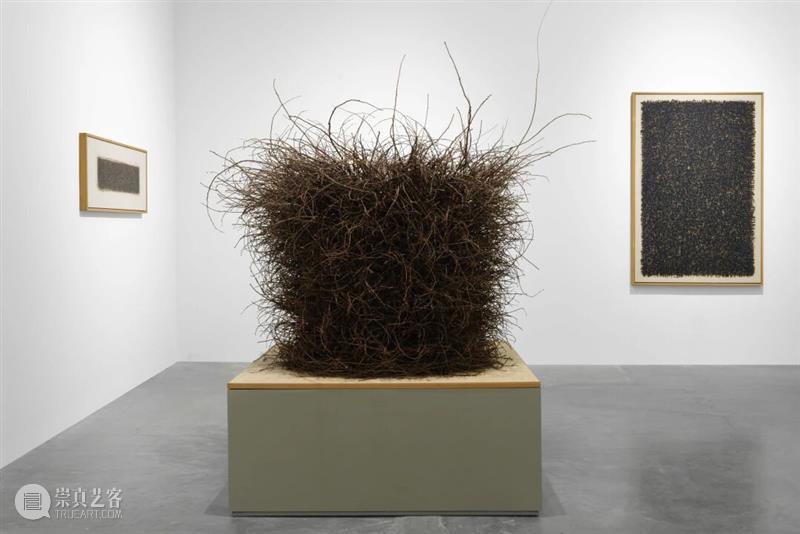 香格纳画廊 | 2025年度展览回顾（上） 崇真艺客