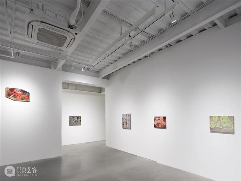 香格纳画廊 | 2025年度展览回顾（上） 崇真艺客