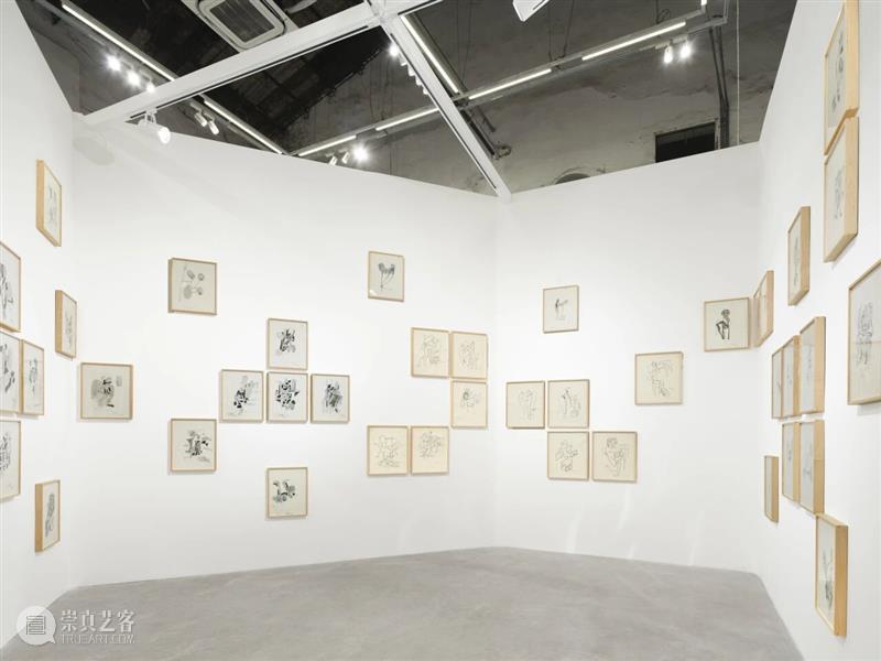 香格纳画廊 | 2025年度展览回顾（上） 崇真艺客