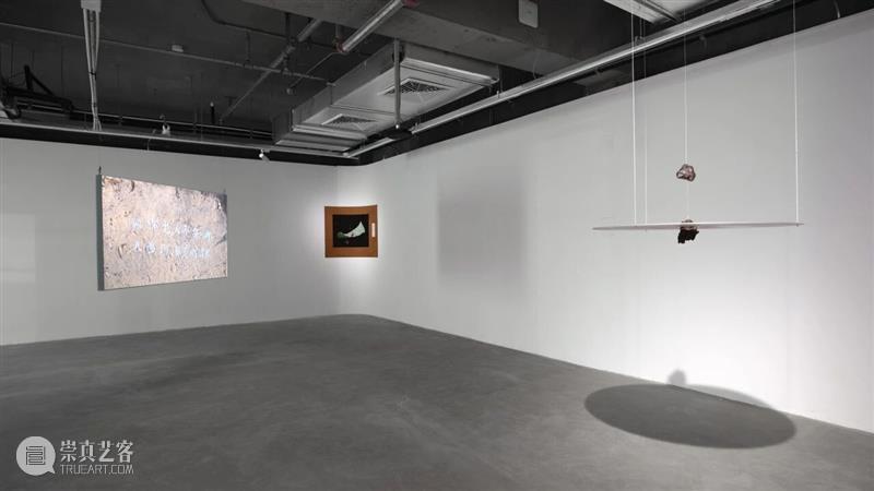 香格纳画廊 | 2025年度展览回顾（上） 崇真艺客