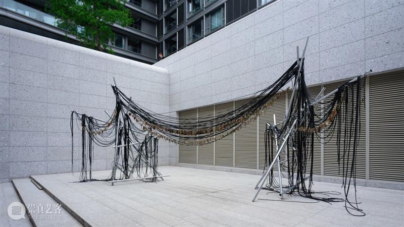 香格纳画廊 | 2025年度展览回顾（上） 崇真艺客