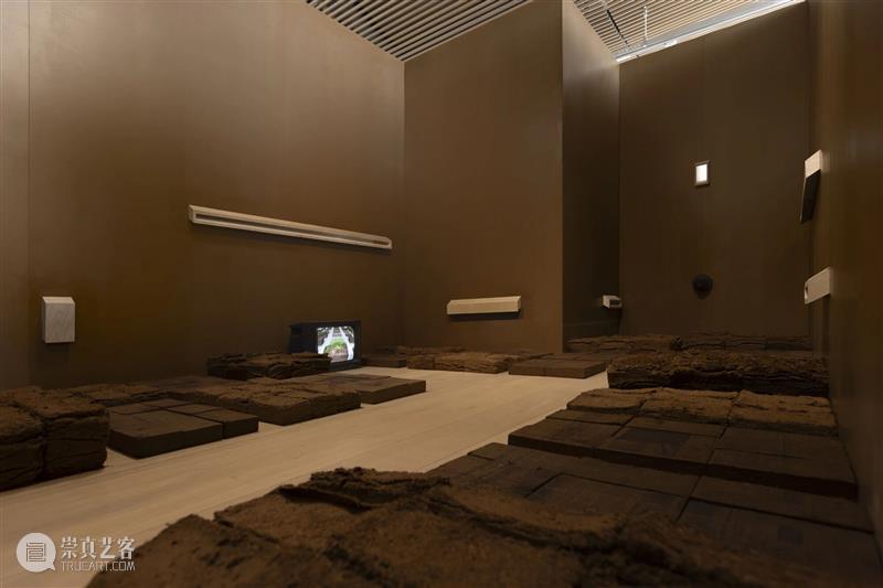 香格纳画廊 | 2025年度展览回顾（上） 崇真艺客