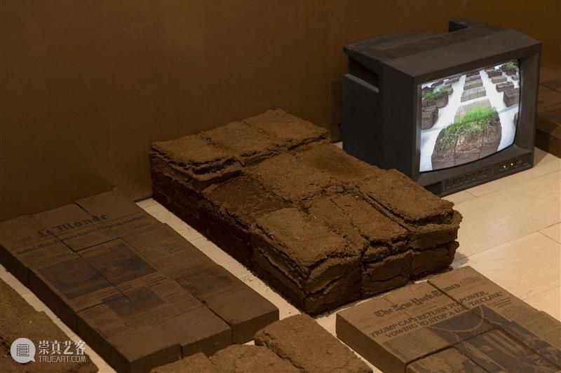 香格纳画廊 | 2025年度展览回顾（上） 崇真艺客