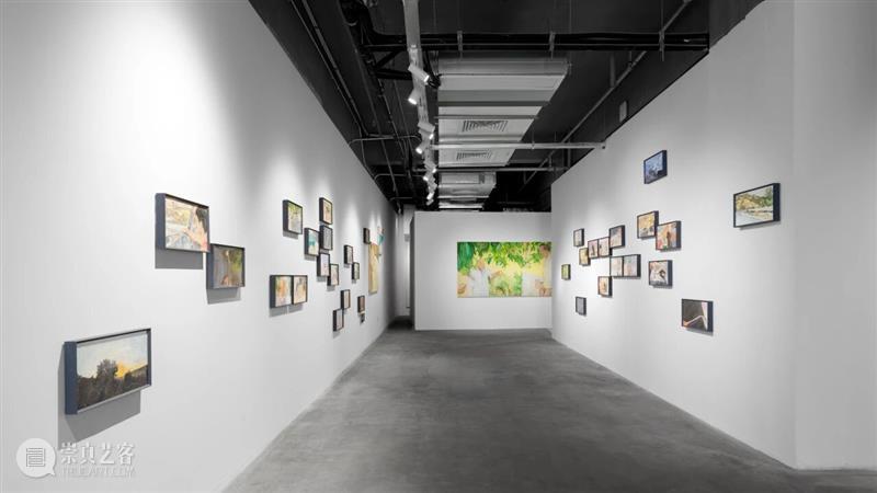 香格纳画廊 | 2025年度展览回顾（上） 崇真艺客