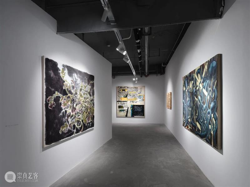 香格纳画廊 | 2025年度展览回顾（上） 崇真艺客