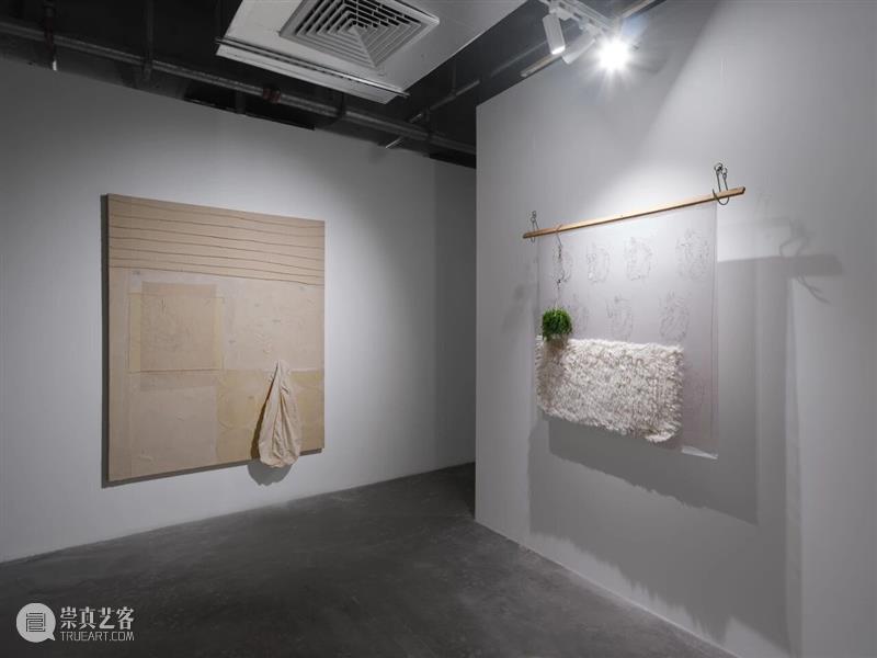 香格纳画廊 | 2025年度展览回顾（上） 崇真艺客
