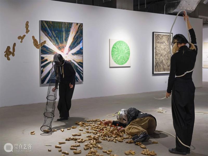 香格纳画廊 | 2025年度展览回顾（上） 崇真艺客