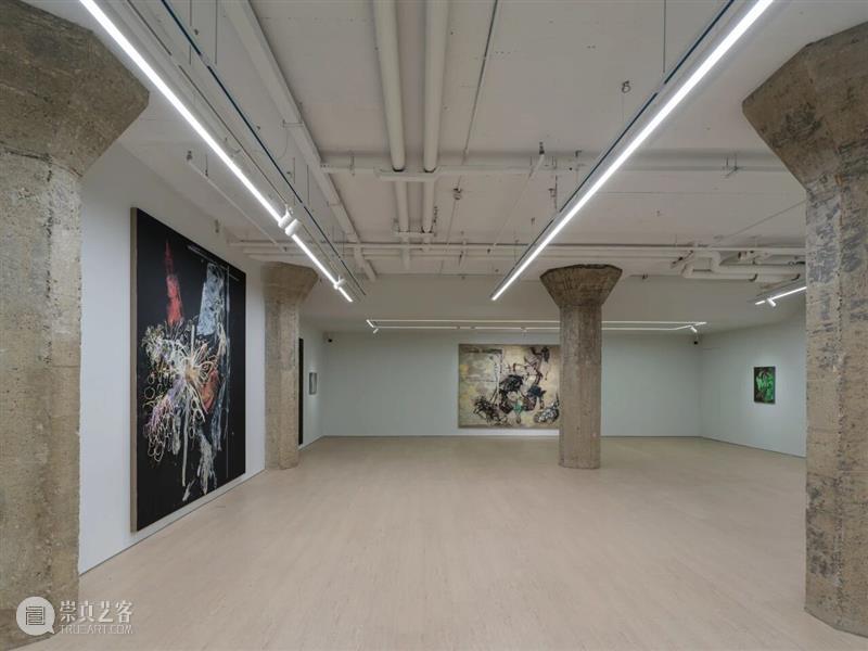 香格纳画廊 | 2025年度展览回顾（上） 崇真艺客
