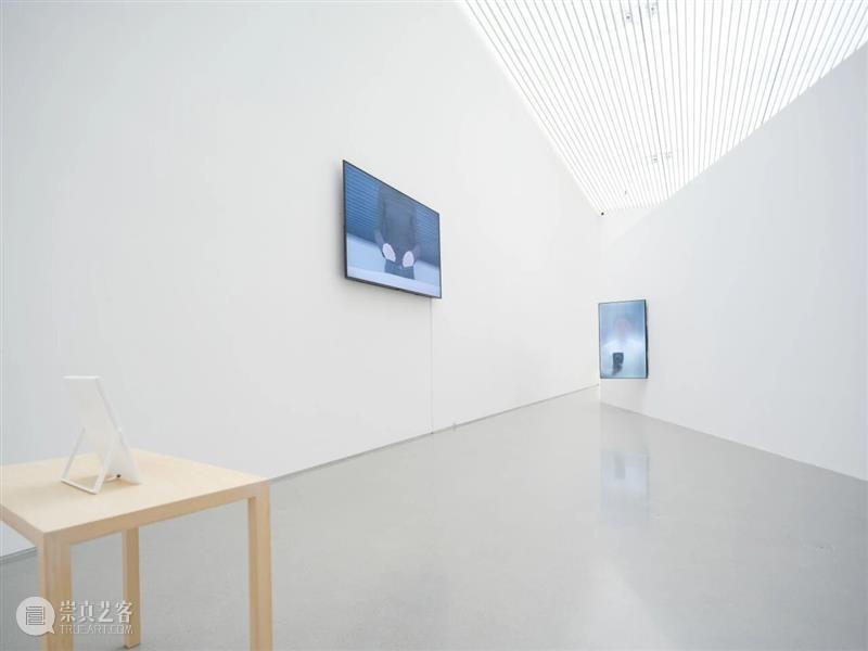 香格纳画廊 | 2025年度展览回顾（上） 崇真艺客