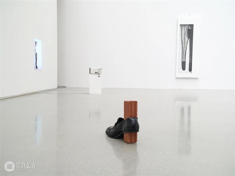 香格纳画廊 | 2025年度展览回顾（上） 崇真艺客